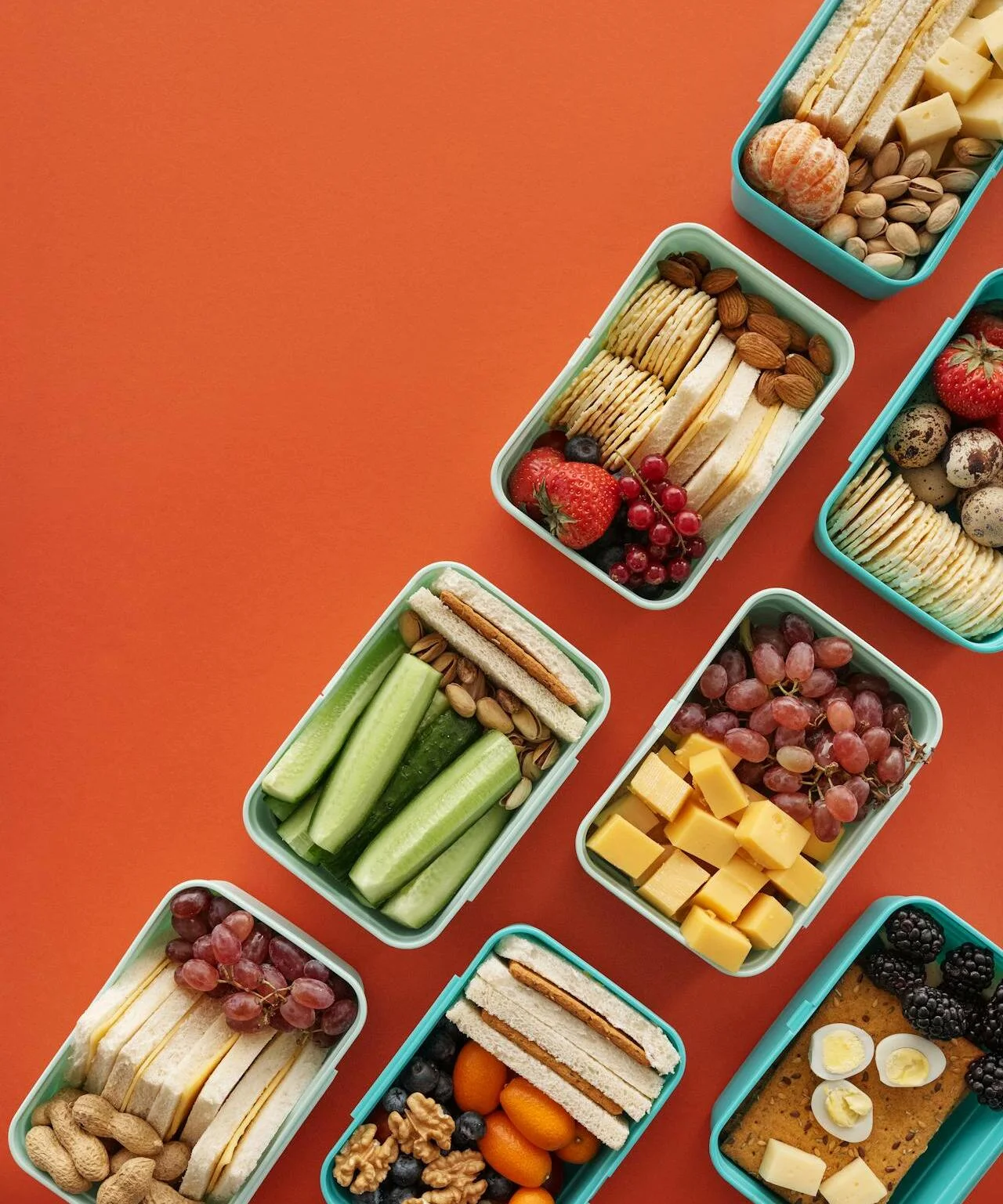 Educação Alimentar em Aveiro